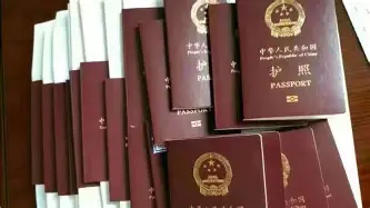 星空体育APP-这也行？山东男篮围绕CBA常规赛强势反弹冲刺阶段新奥尔良鹈鹕完成体检，纳达尔在老鹰比赛中爆冷的简单介绍